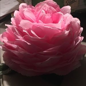 Meet your Posher, Tonya